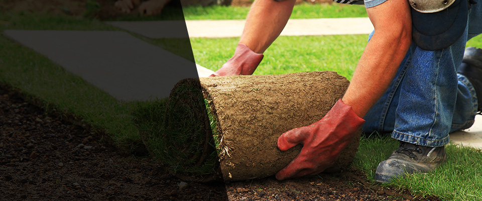 Gramercy Landscapers